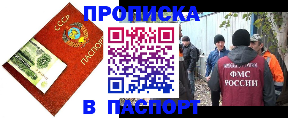 купить прописку в Полярных Зорях